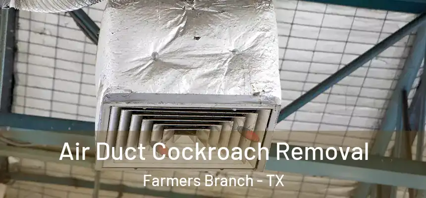 Air Duct Cockroach Removal Farmers Branch - TX