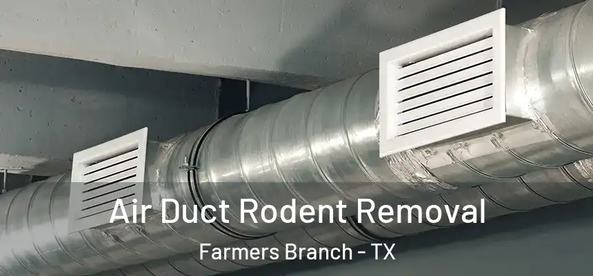  Air Duct Rodent Removal Farmers Branch - TX