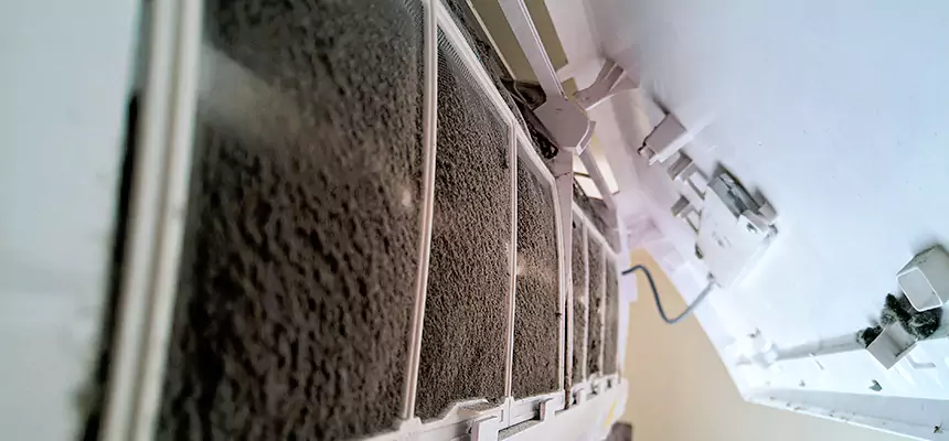 Preventive Air Duct Bacteria Removal in Farmers Branch