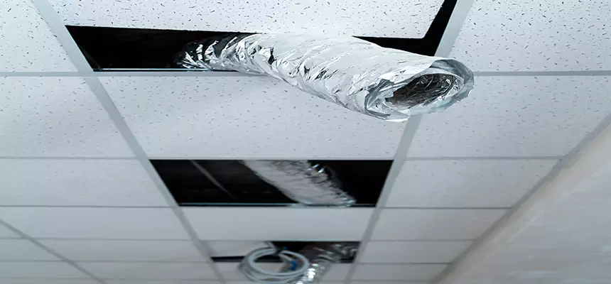 Our Air Duct Pet Hair Removal Services in Farmers Branch, TX