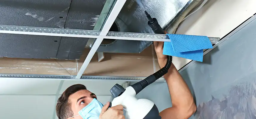 Our Air Duct Rodent Removal Services in Farmers Branch, TX