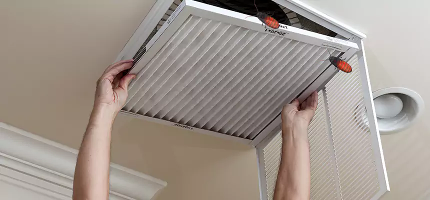 Our Insect Removal from Air Ducts Services in Farmers Branch, TX