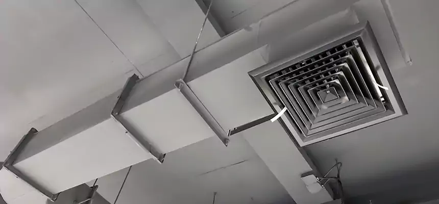 Our Pest Removal From Ducts Services in Farmers Branch, TX