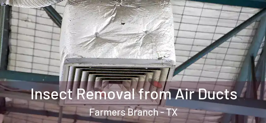 Insect Removal from Air Ducts Farmers Branch - TX