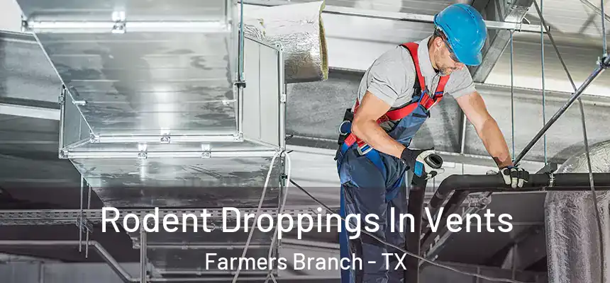  Rodent Droppings In Vents Farmers Branch - TX