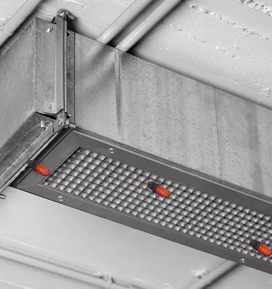 About Air Duct Cockroach Removal in Farmers Branch, TX