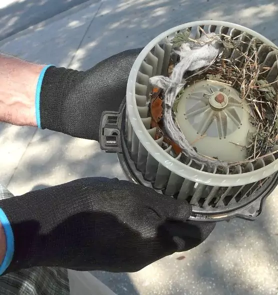 About Air Duct Mice Removal in Farmers Branch, TX