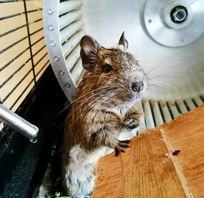 Why Homeowners & Businesses Trust Us Farmers Branch, TX?