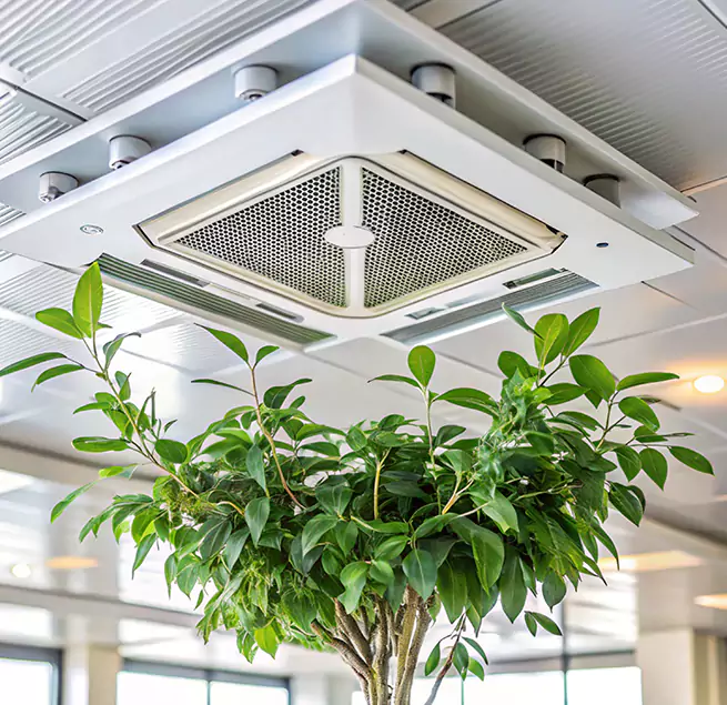 Why Homeowners & Businesses Trust Us in Farmers Branch, TX