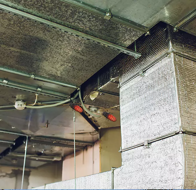 Why Homeowners & Businesses Trust Us Farmers Branch, TX?