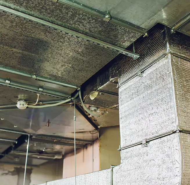 Why Homeowners & Businesses Trust Us in Farmers Branch, TX?